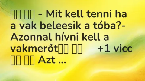 Viccek: 
		  
		  – Mit kell tenni ha a vak beleesik a tóba?- Azonnal…