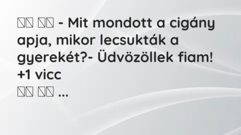 Viccek: 
		  
		  – Mit mondott a cigány apja, mikor lecsukták a gyerekét?