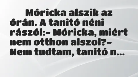 Viccek: 
		  
		  Móricka alszik az órán. A tanitó néni rászól:- Móricka,…