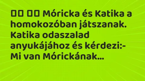 Viccek:
Móricka és Katika a homokozóban játszanak. Katika odaszalad… Viccek:
Móricka és Katika a homokozóban játszanak. Katika odaszalad…