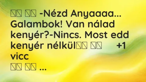Viccek: 
		  
		  -Nézd Anyaaaa… Galambok! Van nálad kenyér?-Nincs….
