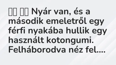 Viccek: 
		  
		  Nyár van, és a második emeletről egy férfi nyakába hullik…