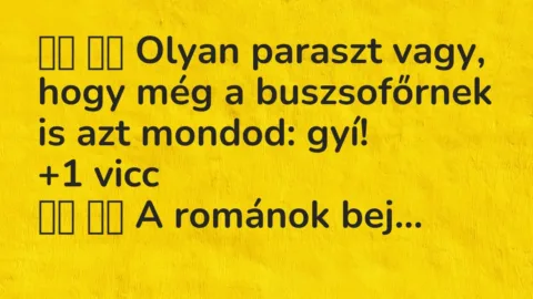 Viccek:
Olyan paraszt vagy, hogy még a buszsofőrnek is azt mondod: … Viccek:
Olyan paraszt vagy, hogy még a buszsofőrnek is azt mondod: …