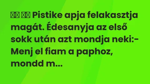 Viccek: 
		  
		  Pistike apja felakasztja magát. Édesanyja az első sokk után…