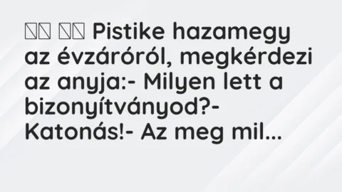 Viccek: 
		  
		  Pistike hazamegy az évzáróról, megkérdezi az anyja:-…