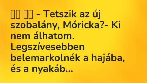 Viccek:
– Tetszik az új szobalány, Móricka?- Ki nem álhatom…. Viccek:
– Tetszik az új szobalány, Móricka?- Ki nem álhatom….