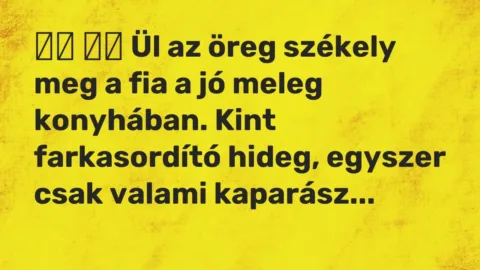Viccek: 
		  
		  Ül az öreg székely meg a fia a jó meleg konyhában. Kint…