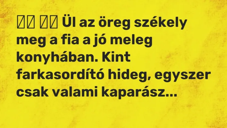 Viccek:
Ül az öreg székely meg a fia a jó meleg konyhában. Kint… Viccek:
Ül az öreg székely meg a fia a jó meleg konyhában. Kint…