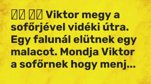 Viccek: 
		  
		  Viktor megy a sofőrjével vidéki útra. Egy falunál elütnek…