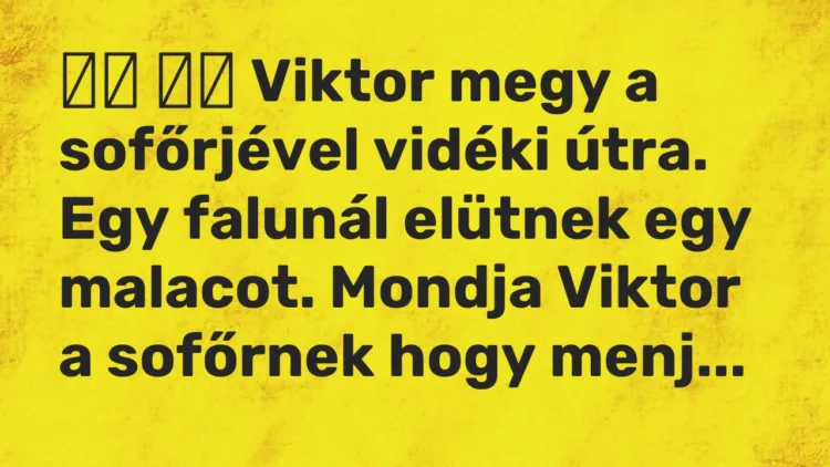 Viccek: Viktor megy a sofőrjével vidéki útra. Egy falunál elütnek…