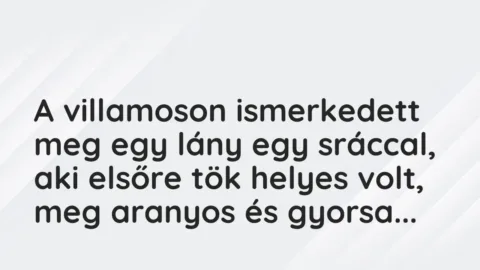 Vicces történet: 
	    	    


A villamoson ismerkedett meg egy lány egy…
