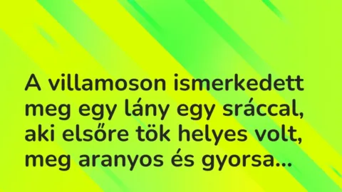 Vicces történet: 
	    	    


A villamoson ismerkedett meg egy lány egy…