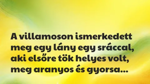 Vicces történet: 
	    	    


A villamoson ismerkedett meg egy lány egy…
