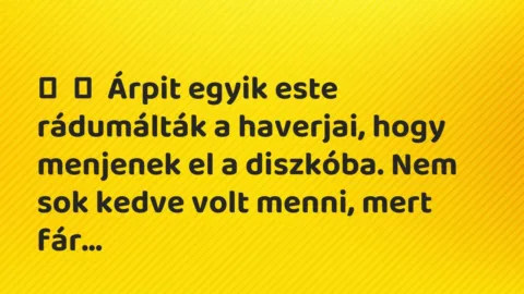 Vicces történet:
Árpit egyik este rádumálták a haverjai, hogy menjenek el a diszkóba. … Vicces történet:
Árpit egyik este rádumálták a haverjai, hogy menjenek el a diszkóba. …