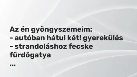 Vicces történet: 
	    	    


Az én gyöngyszemeim:


– autóban hátul két!…