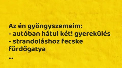 Vicces történet: 
	    	    


Az én gyöngyszemeim:


– autóban hátul két!…