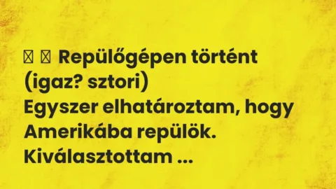 Vicces történet: 
	    	    Repülőgépen történt (igaz? sztori)


Egyszer elhatároztam, hogy …