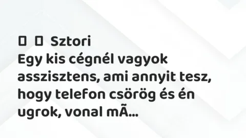 Vicces történet: 
	    	    Sztori


Egy kis cégnél vagyok asszisztens, ami annyit tesz,…