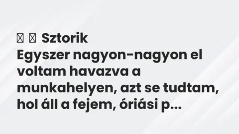 Vicces történet: 
	    	    Sztorik


Egyszer nagyon-nagyon el voltam havazva a munkahelyen,…