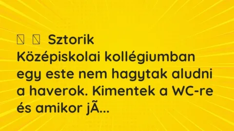 Vicces történet: 
	    	    Sztorik


Középiskolai kollégiumban egy este nem hagytak aludni …