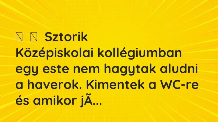 Vicces történet:
Sztorik
Középiskolai kollégiumban egy este nem hagytak aludni … Vicces történet:
Sztorik
Középiskolai kollégiumban egy este nem hagytak aludni …