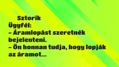Vicces történet: 
	    	    Sztorik


Ügyfél:


– Áramlopást szeretnék…