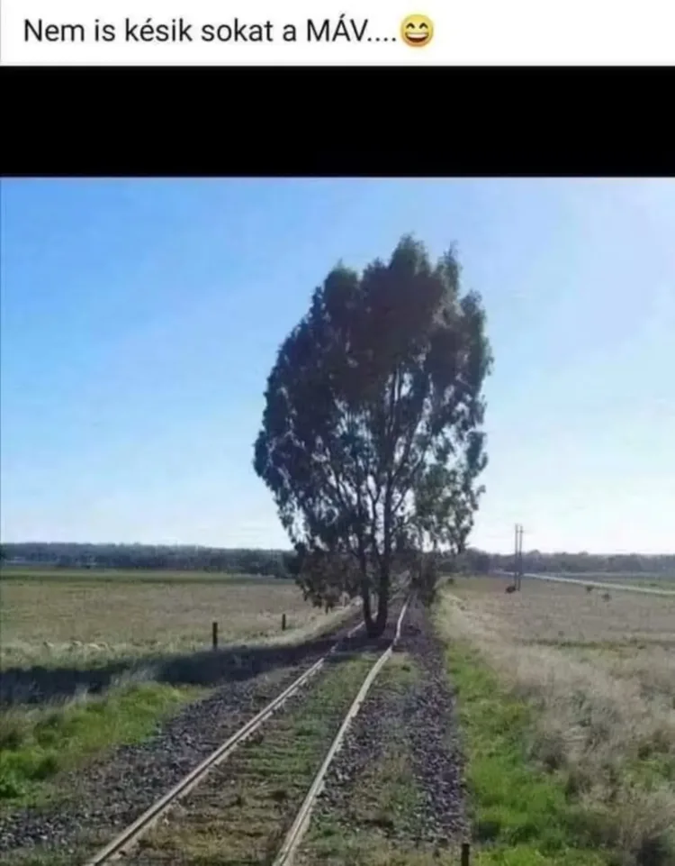 Nem is késik sokat a MÁV Nem is késik sokat a MÁV