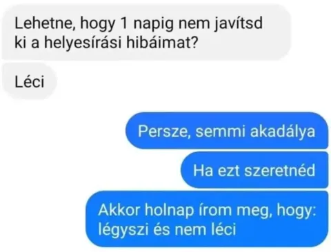 Lehetne, hogy 1 napig nem javítsd ki a helyesírási hibáimat?