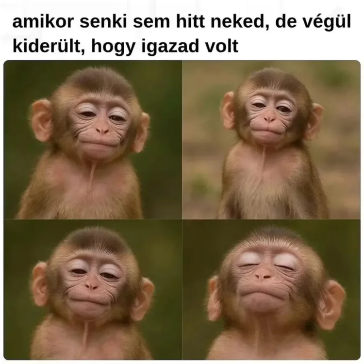 amikor senki sem hitt neked, de végül kiderült, hogy igazad volt amikor senki sem hitt neked, de végül kiderült, hogy igazad volt