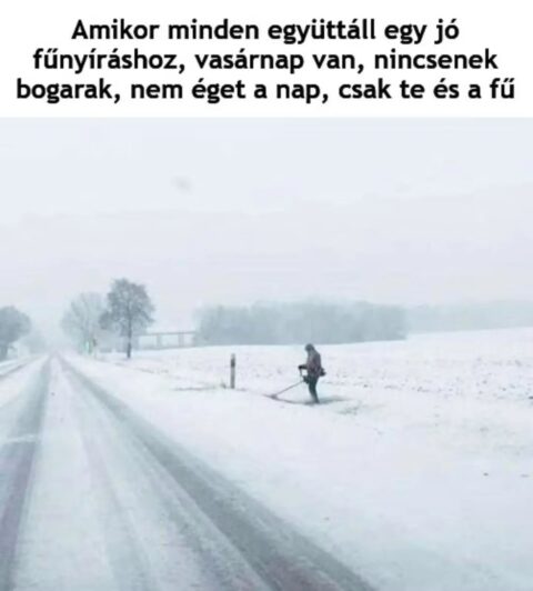 #VK1763955966