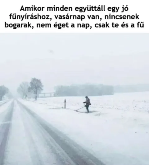 #VK1763955966
