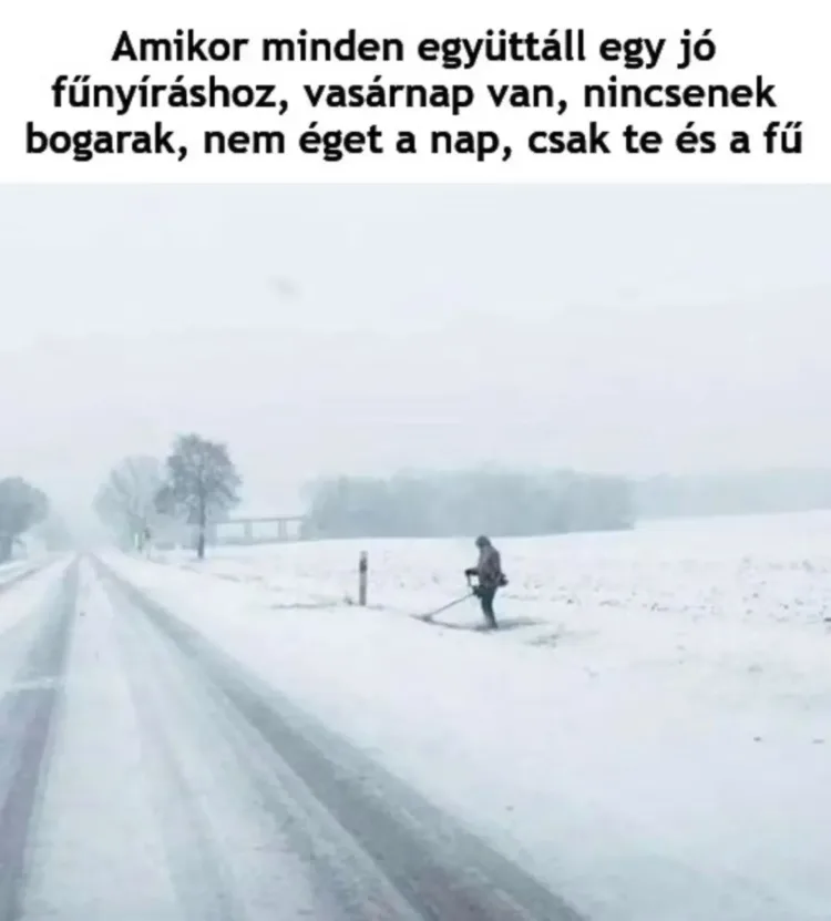 Amikor minden együttáll egy jó fűnyíráshoz... Amikor minden együttáll egy jó fűnyíráshoz...