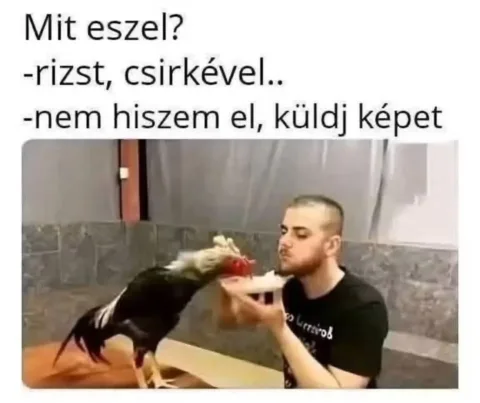 #VK1764432006 #VK1764432006