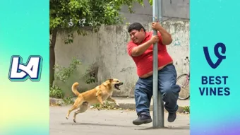 A hét legjobb kudarcai – A legviccesebb kudarcok összeállítása
 – videó