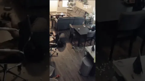 A kutyakapu sokkal hatékonyabb volt, mint gondoltam
 – videó