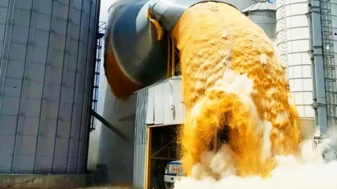 A világ legrendetlenebbje elbukik | Próbálj meg nem nevetni!
 – videó