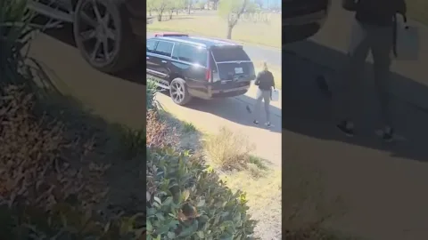 Felkapott a kamera!
 – videó