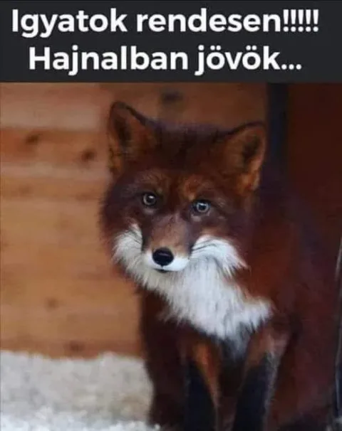 #VK1761952619 #VK1761952619