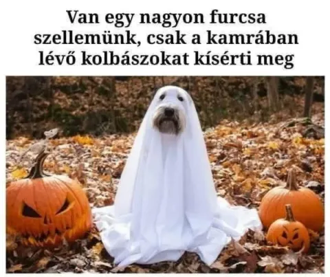 #VK1761979042