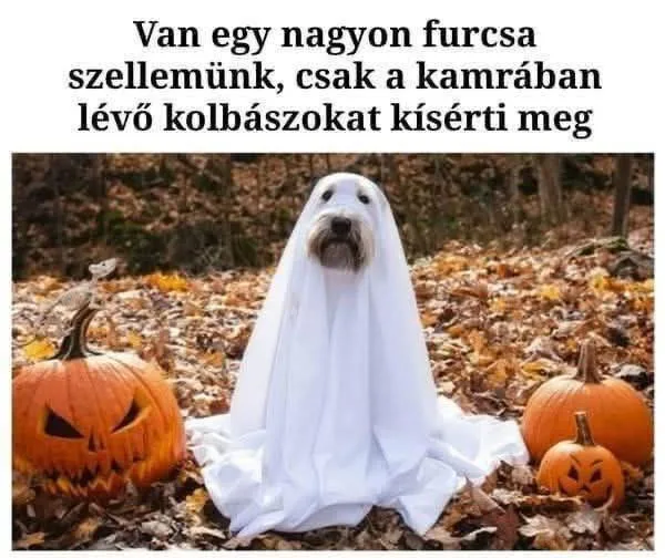 #VK1761979042 #VK1761979042