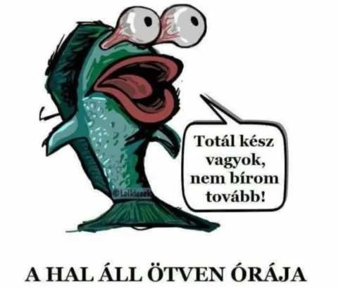 #VK1761987986
