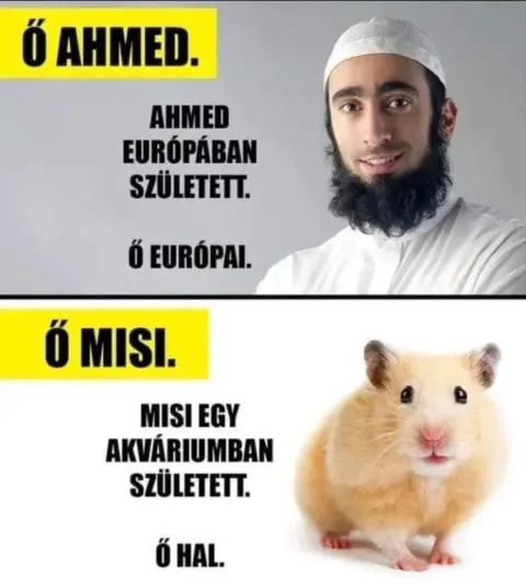 Ő AHMED. AHMED EURÓPÁBAN SZÜLETETT...