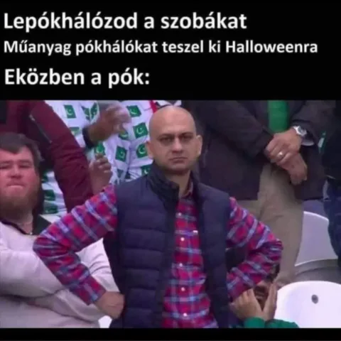 Lepókhálózod a szobákat...