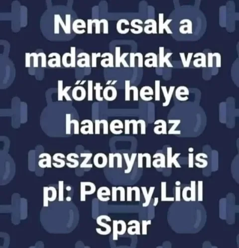 Nem csak a madaraknak van költő helye hanem az asszonynak is...