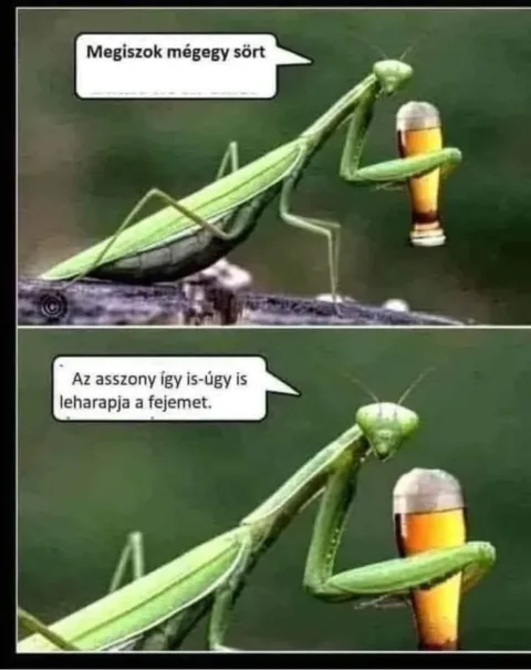 Megiszok mégegy sört...