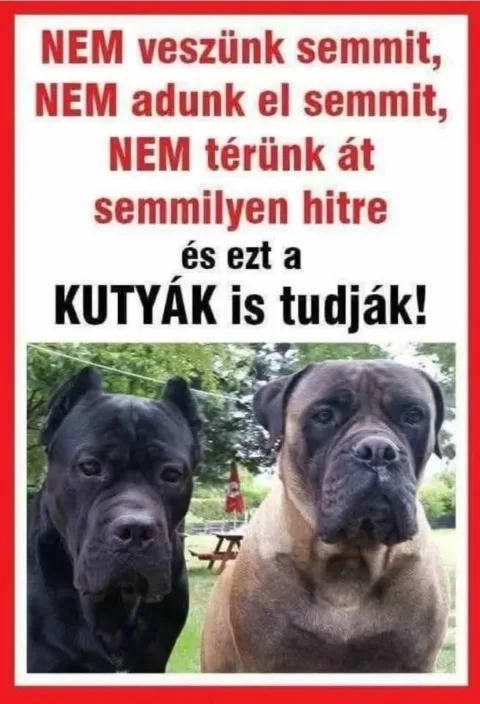 #VK1762066812