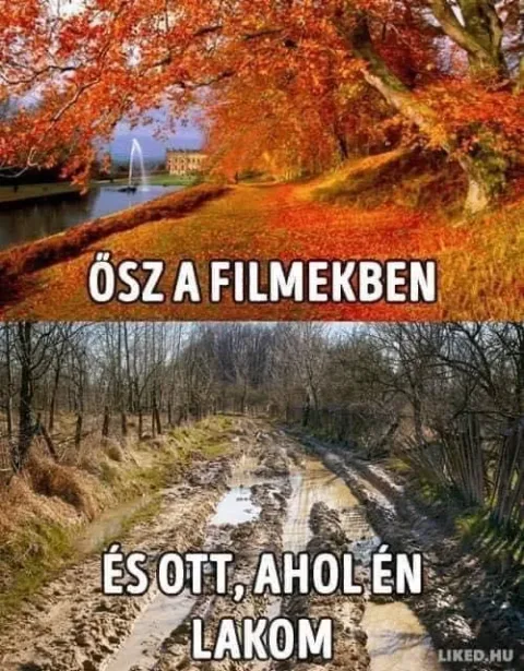 #VK1762079286
