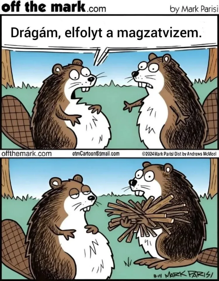 Drágám, elfolyt a magzatvizem Drágám, elfolyt a magzatvizem
