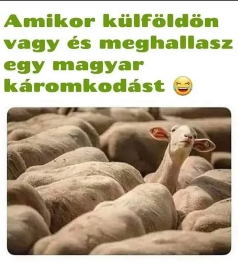 #VK1762171955