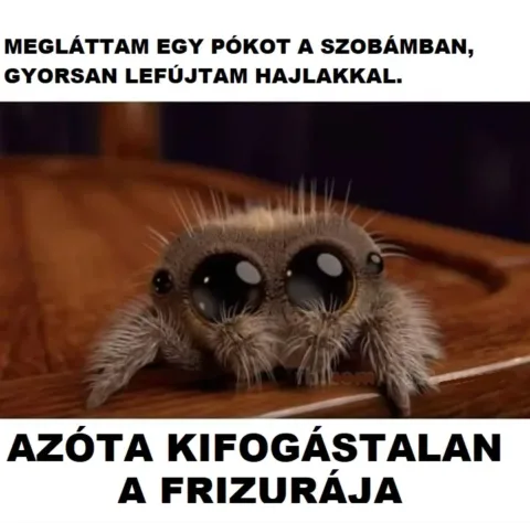 #VK1762192817